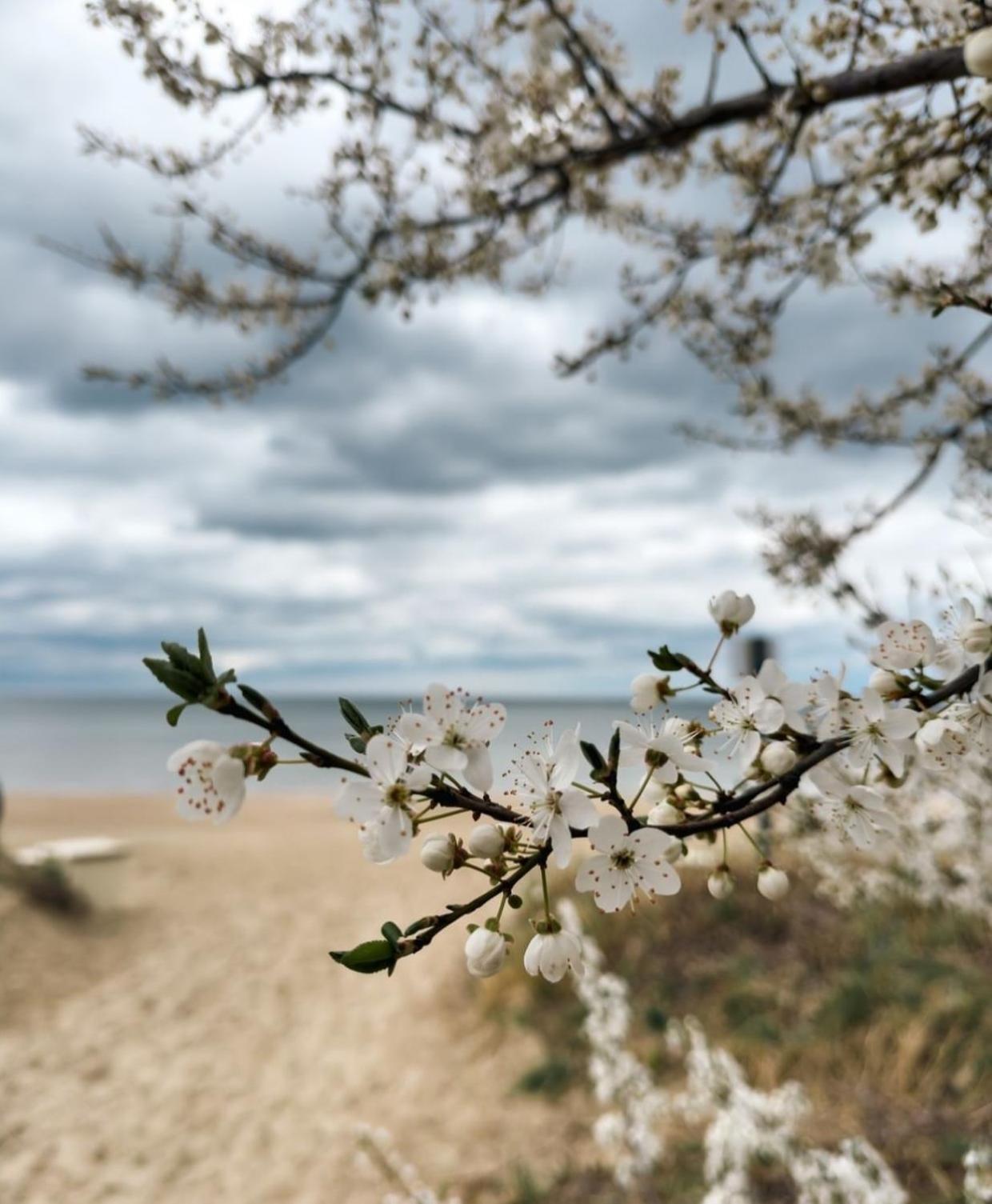 Marina Beachside * Sopot